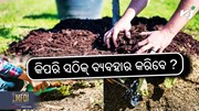 ମଲଚିଂ କାଗଜ ପ୍ରୟୋଗ କରିବାର ସଠିକ ଉପାୟ କ’ଣ ? 