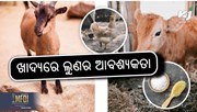 ପଶୁଙ୍କ ଖାଦ୍ୟରେ ଲୁଣର ଆବଶ୍ୟକତା