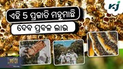 କେଉଁ ପ୍ରଜାତି ସର୍ବାଧିକ ମହୁ ପାଇଁ ଚାଷ ହେବା ଉଚିତ୍ ?