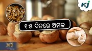 ସ୍ଵତନ୍ତ୍ର ସ୍ଵାଦ ପାଇଁ ବଜାରରେ ଛତୁର ଚାହିଦା