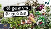 Organic Farming: କିପରି କରିବେ ପନିପରିବାରେ ଜୈବିକ କୃଷି ?