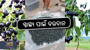ଗୁଣକାରୀ ଜାମୁକୋଳି ଏବଂ ଏହାକୁ ଖାଇବାର ଫାଇଦା !