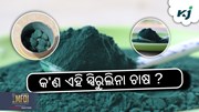 କିପରି କରିବେ ସ୍ପିରୁଲିନା ଚାଷ ? ଜାଣନ୍ତୁ ବ୍ୟବସାୟିକ ମଡେଲ.....