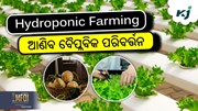 ହାଇଡ୍ରୋପୋନିକ କୃଷି: ଯାହା ଚାଷୀଙ୍କ ଭଭିଷ୍ୟତ କରିବ ଉଜ୍ଜ୍ୱଳ