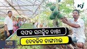 ଅଳ୍ପ ଖର୍ଚ୍ଚ ଓ ଅଳ୍ପ ଦିନରେ କିପରି ଅଧିକ ରୋଜଗାର କରିବେ!