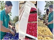 ସଫଳ ଚାଷୀ ଶିବରାଜ, ମାସକୁ କରୁଛନ୍ତି ଲକ୍ଷାଧିକ ରୋଜଗାର! 