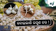 Garlic Price: ରସୁଣ ସପ୍ତାହକରେ ୨ଶହ ବଢ଼ିଲାଣି!