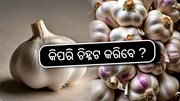 ମାର୍କେଟକୁ ଆସିଲାଣି ଚାଇନିଜ୍ ରସୁଣ, ଜାଣନ୍ତୁ ସ୍ୱାସ୍ଥ୍ୟ ପାଇଁ କେତେ ବିପଜ୍ଜନକ !