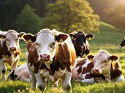 ପ୍ରାଣୀସମ୍ପଦ ଏବଂ ଦୁଗ୍ଧ କ୍ଷେତ୍ର ପାଇଁ ମୌସୁମୀ ବୈଠକ