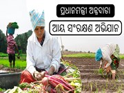 ପ୍ରଧାନମନ୍ତ୍ରୀ ଅନ୍ନଦାତା ଆୟ ସଂରକ୍ଷଣ ଅଭିଯାନ ଯୋଜନା ଜାରି ରଖିବାକୁ କ୍ୟାବିନେଟ୍ ଅନୁମୋଦନ