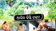 PM Kisan Yojana: ଆଜି ଆକାଉଣ୍ଟକୁ ଆସିବ ଟଙ୍କା!