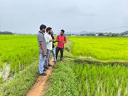 ଡିଜିଟାଲ୍ ଫସଲ ସର୍ବେକ୍ଷଣରେ କ'ଣ ରହିଛି ସୁବିଧା ?