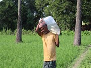 FARMER LOAN: ଏଥର UPIରେ ଋଣ ପାଇବେ ଚାଷୀ !