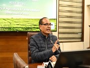 PMFBY ୨୦୨୫-୨୬ ପର୍ଯ୍ୟନ୍ତ ଜାରି ରଖିବାକୁ ମଞ୍ଜୁର !