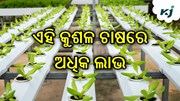 ହାଇଡ୍ରୋପୋନିକ ଚାଷ କିପରି କରିବେ ? 