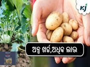 ଜୈବିକ ପ୍ରଣାଳୀରେ ଚାଷ: ଅଳ୍ପ ଖର୍ଚ୍ଚ,ଅଧିକ ଲାଭ