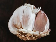 Garlic Farming: ଜୈବିକ ଉପାୟରେ ରସୁଣ ଚାଷ!