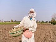 କୀଟନାଶକ ଉପରେ GSTକୁ CCFI ର ବିରୋଧ