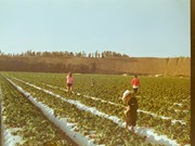 PM Kisan ଯୋଜନାର ୧୯ତମ କିସ୍ତି ଟଙ୍କା...