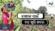 ବଡ଼ ନିଷ୍ପତ୍ତି: ଋଣ ବୃଦ୍ଧି କଲେ ସରକାର