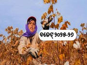 ଭାରତର ବିକାଶ ଯାତ୍ରାର ପ୍ରଥମ ଇଞ୍ଜିନ୍ ହେଉଛି କୃଷି: ବଜେଟ୍ ୨୦୨୫-୨୬