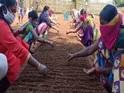 Pm Kisan କ୍ଷୁଦ୍ର କୃଷକଙ୍କ ପାଇଁ ଉପଯୋଗୀ ସାବ୍ୟସ୍ତ: ପ୍ରଧାନମନ୍ତ୍ରୀ Pm Kisan କ୍ଷୁଦ୍ର କୃଷକଙ୍କ ପାଇଁ ଉପଯୋଗୀ ସାବ୍ୟସ୍ତ: ପ୍ରଧାନମନ୍ତ୍ରୀ