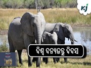 ବିଶ୍ୱ ବନ୍ୟଜନ୍ତୁ ଦିବସ