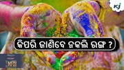 Holi Tips: କିପରି ଜାଣିବେ ରଙ୍ଗ ନକଲି ? Holi Tips: କିପରି ଜାଣିବେ ରଙ୍ଗ ନକଲି ?