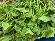 Health Tips: ଏହି ଶାଗ ଶରୀର ପାଇଁ ବରଦାନ.... Health Tips: ଏହି ଶାଗ ଶରୀର ପାଇଁ ବରଦାନ....
