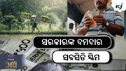 Terrace Farming: ସରକାର ଦେବେ ସବସିଡି....! Terrace Farming: ସରକାର ଦେବେ ସବସିଡି....!