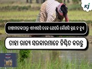 ଚାଷୀମାନଙ୍କଠାରୁ ଏମଏସପି ତଳେ ଯେପରି କୌଣସି କ୍ରୟ ନ ହୁଏ ତାହା ରାଜ୍ୟ ସରକାରମାନେ ନିଶ୍ଚିତ କରନ୍ତୁ : ଶିବରାଜ ସିଂହ ଚୌହାନ