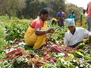 PM Kisan ରେ ବଡ଼ ଅପଡେଟ୍ ! ଏହି କାମ ଶୀଘ୍ର ଶେଷ କରନ୍ତୁ, ନଚେତ୍…