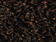 Clove Farming: ଏହି ମସଲା ଚାଷୀଙ୍କୁ ଧନୀ କରିଥାଏ!