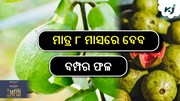 Guava Farming: ମାତ୍ର ୮ ମାସରେ ଦେବ ଫଳ, ଚାଷୀଙ୍କୁ ମିଳିବ ଭଲ ରୋଜଗାର...