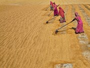 ଆରମ୍ଭ ହେବ ବିକଶିତ କୃଷି ସଂକଳ୍ପ ଅଭିଯାନ