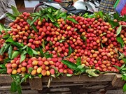 ଲିଚୁ କିଣିବା ପୂର୍ବରୁ ଜାଣନ୍ତୁ ଏହା ଖଟା କି ମିଠା...!