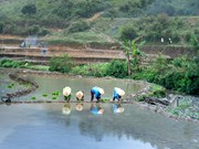 ଲ୍ୟାବ୍ ଟୁ ଲ୍ୟାଣ୍ଡ: ପରୀକ୍ଷାଗାର ଓ ଚାଷ ଜମିକୁ ଯୋଡ଼ିବାକୁ ନୂତନ ପ୍ରୟାସ 