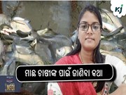 ଅମଳ ସମୟରେ ମାଛର ଯତ୍ନ