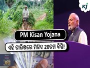 PM Kisan Yojana:ଏହି ତାରିଖରେ ମିଳିବ 20ତମ କିସ୍ତି!