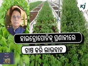 GFBN Story:ହାଇଡ୍ରୋପୋନିକ୍ ପ୍ରଣାଳୀରେ ଚାଷ କରି ଲାଭବାନ ଚାଷୀ ବିବେକ ମିଶ୍ର  