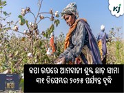 କପା ଉପରେ ଆମଦାନୀ ଶୁଳ୍କ ଛାଡ଼ ସୀମା ୩୧ ଡିସେମ୍ବର ୨୦୨୫ ପର୍ଯ୍ୟନ୍ତ ବୃଦ୍ଧି
