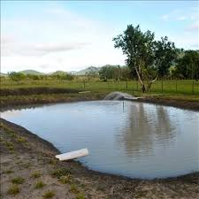 pond based farming pond based farming