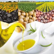oilseeds oilseeds
