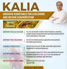 kalia scheme kalia scheme