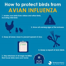 prevention prevention