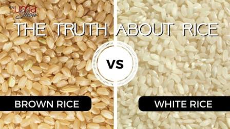 white vs brown rice white vs brown rice