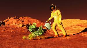 mars cultivate mars cultivate
