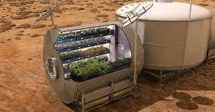 food in mars food in mars
