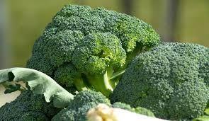 broccoli broccoli