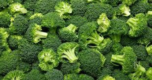 climate for broccoli climate for broccoli